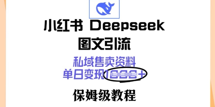 小红书Deepseek图文引流，私域售卖资料，单日变现多张，保姆级教程-818877学习网