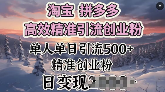 淘宝拼多多高效精准引流创业粉,单人单日引流500+创业粉,日变现多张-818877学习网