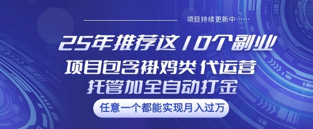 25年推荐这10个副业项目包含褂鸡类、代运营托管类、全自动打金类【揭秘】-818877学习网