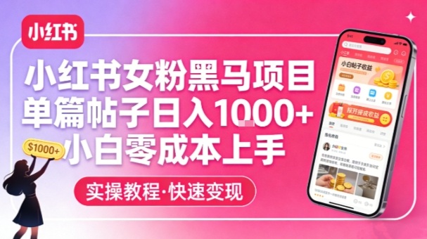 小红书女粉黑马项目，单篇帖子日入1k+，小白零成本上手-818877学习网