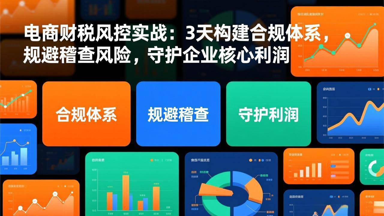 （17197期）电商财税风控实战：3天构建合规体系，规避稽查风险，守护企业核心利润-818877学习网