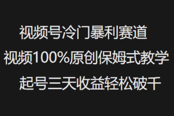 视频号冷门暴利赛道视频100%原创保姆式教学起号三天收益轻松破千-818877学习网