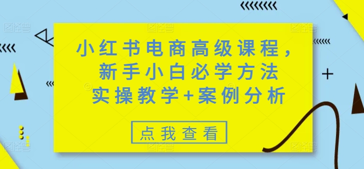 小红书电商高级课程，新手小白必学方法，实操教学+案例分析-818877学习网