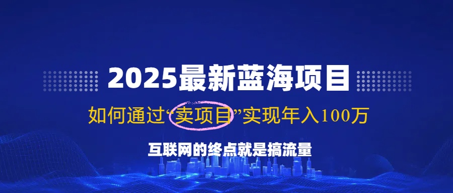 （14305期）2025最新蓝海项目，零门槛轻松复制，月入10万+，新手也能操作！-818877学习网